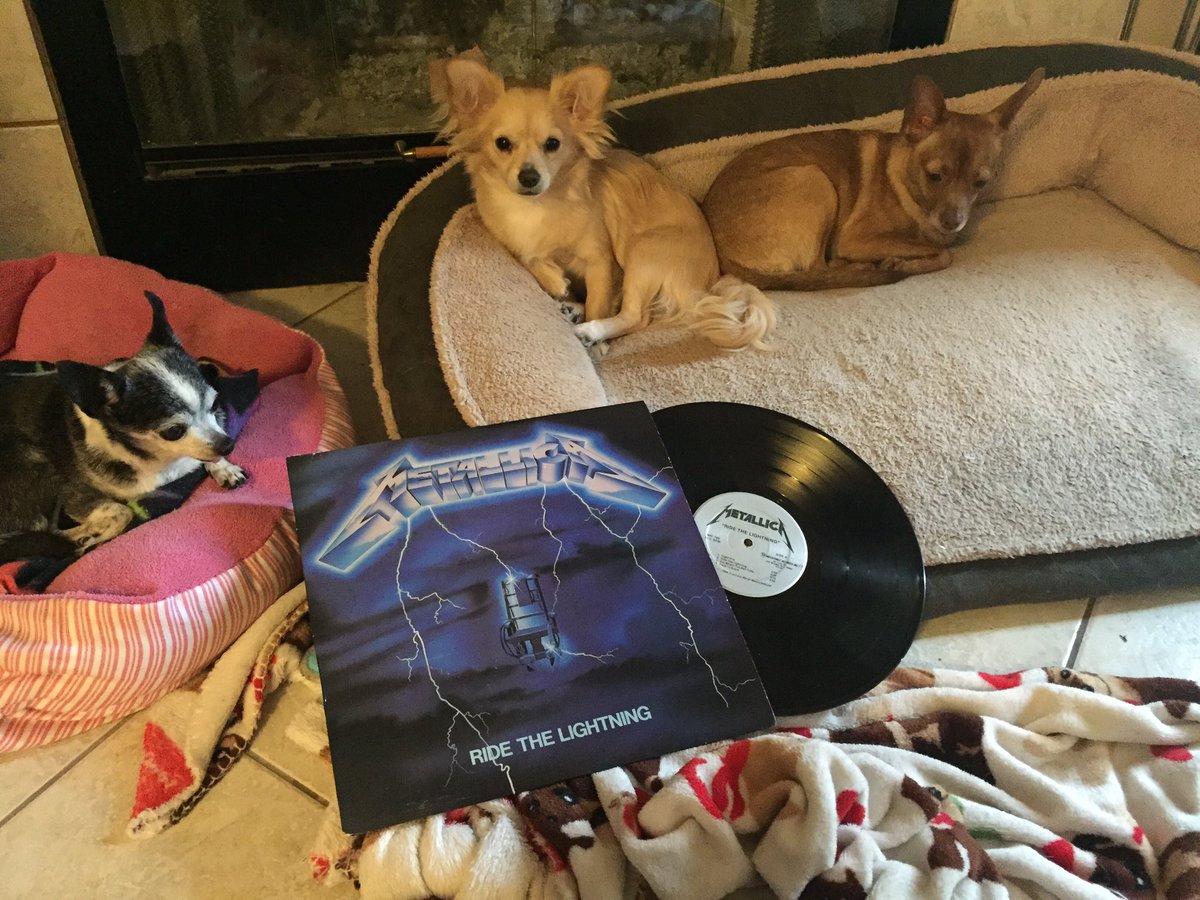 LL_AyyJayy's tweet photo. @Metallica #RTL32 https://t.co/GV3EevM6HC
