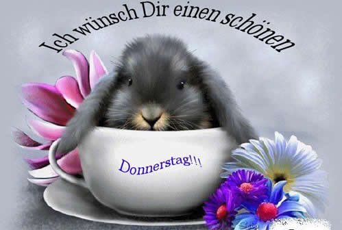 💚Moin Moin..mit sonnigem Gemüt in einen sonnigen Tag..das wünsche ich uns allen💚Viel Spaß dabei💚Ich spendier Kaffee💚