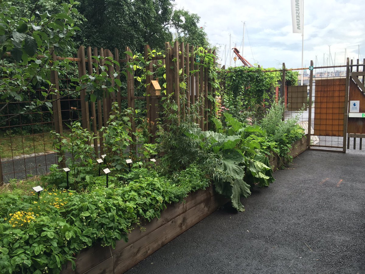 Kärt återseende, #berusandeträdgård på #spritmuseum det växer så det knakar. #urbangarden #herbgarden #urbanodling
