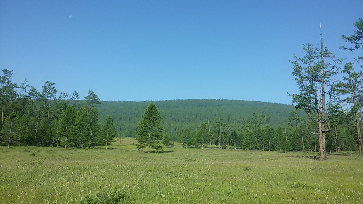 MS2S_Trail's tweet image. #MS2S - The race is in 5 days ! :D #running #trail #ultratrail #keeptraining #Mongolia