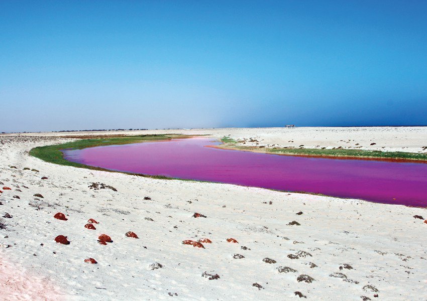 maifinder's tweet photo. If you’re heading south, don’t miss the #Pink #Beach
#AllinoMan #Omantourism
Read More>> https://t.co/Sppxv6JDWQ https://t.co/Ax5VfTPYWw