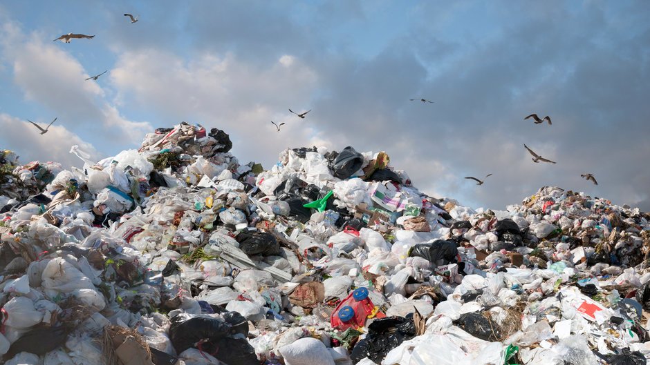 foodandwine's tweet photo. This is the real reason Americans waste so much food. https://t.co/iRFr2ApVWz https://t.co/AyaKlCaWpl