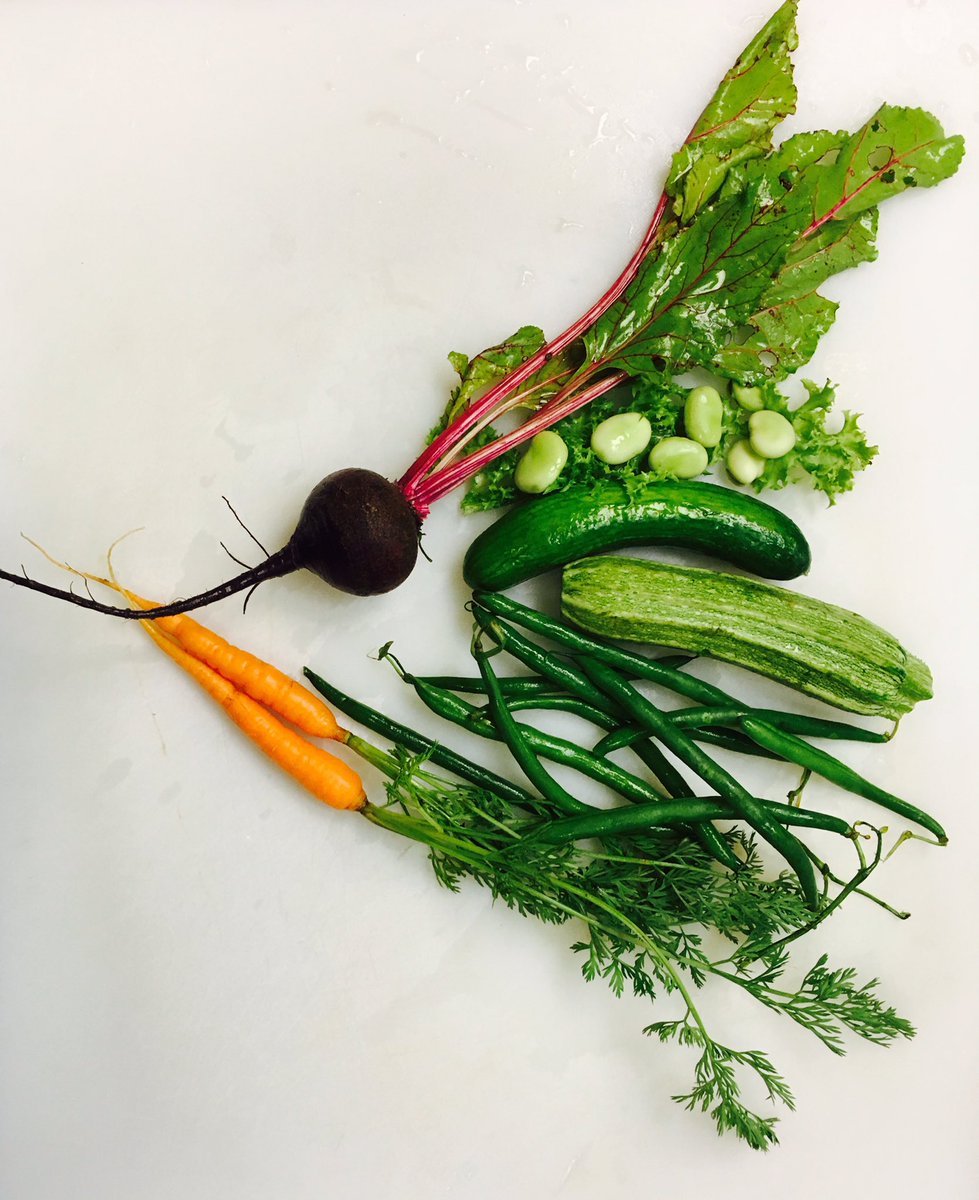 Jardinière de légumes fermiers 
#pachamamafarm