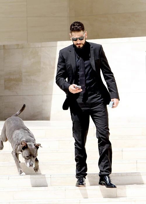 bestofjon's tweet photo. Jon with his dog https://t.co/D8k5DTXMIk