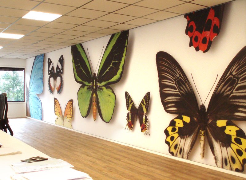 MauriceGras's tweet photo. De nieuwe werkruimte van @ECC_bv heeft weer extra kleur gekregen.
Hoe veelzijdig wil je zijn? https://t.co/VFUTUxKLqQ