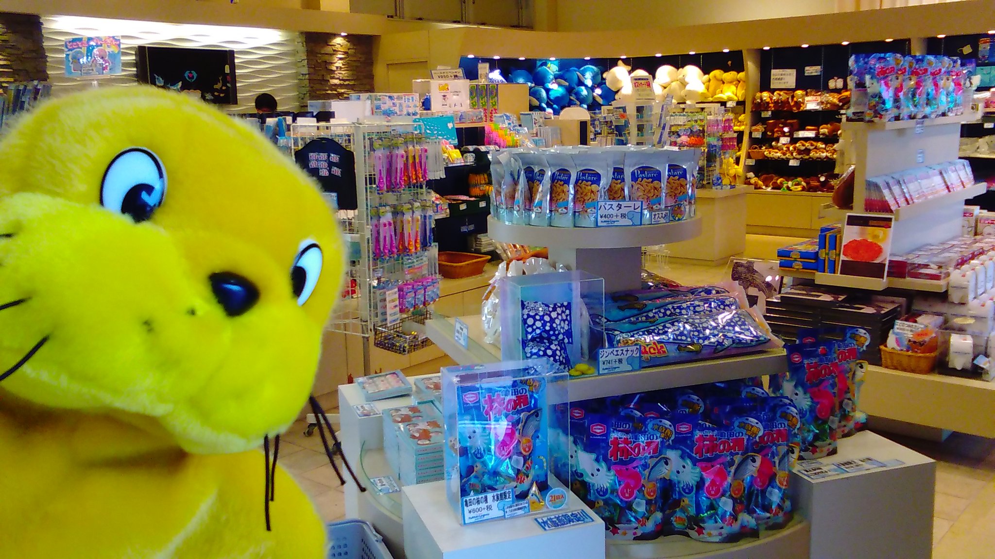Twitter 上的 横浜 八景島シーパラダイス公式 シーパラおみやげタイム フレンディア ふれあった思い出をそのままお持ち帰りできるお店 シーパラオリジナルの商品がいっぱい お菓子もぬいぐるみも迷っちゃうな ふれあいラグーン出口 シーパラ