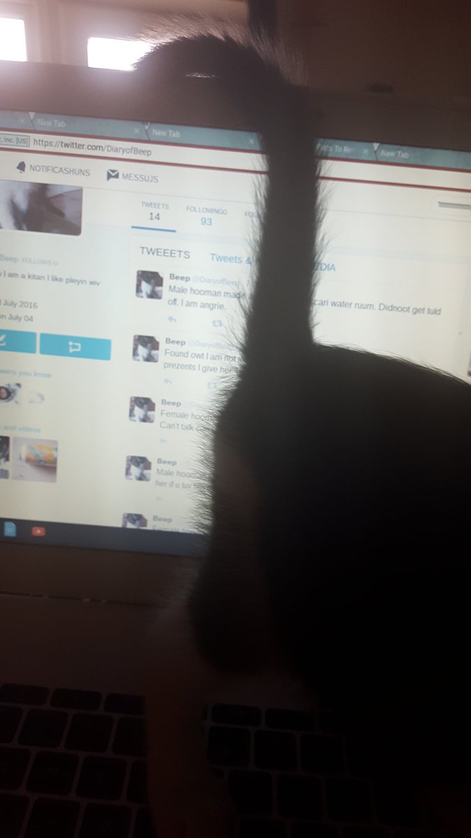 DiaryofBeep's tweet photo. Tryen to tweet 2 my loyel followerz der is no privacie in this haus I  am angrie https://t.co/YHipARIv7V