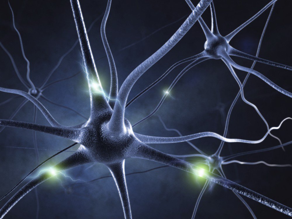 muyinteresante's tweet photo. Por primera vez, descubren cómo se comunican las neuronas. ¡Es impresionante!: 
https://t.co/byFob314KD https://t.co/lLCpx7NMzZ