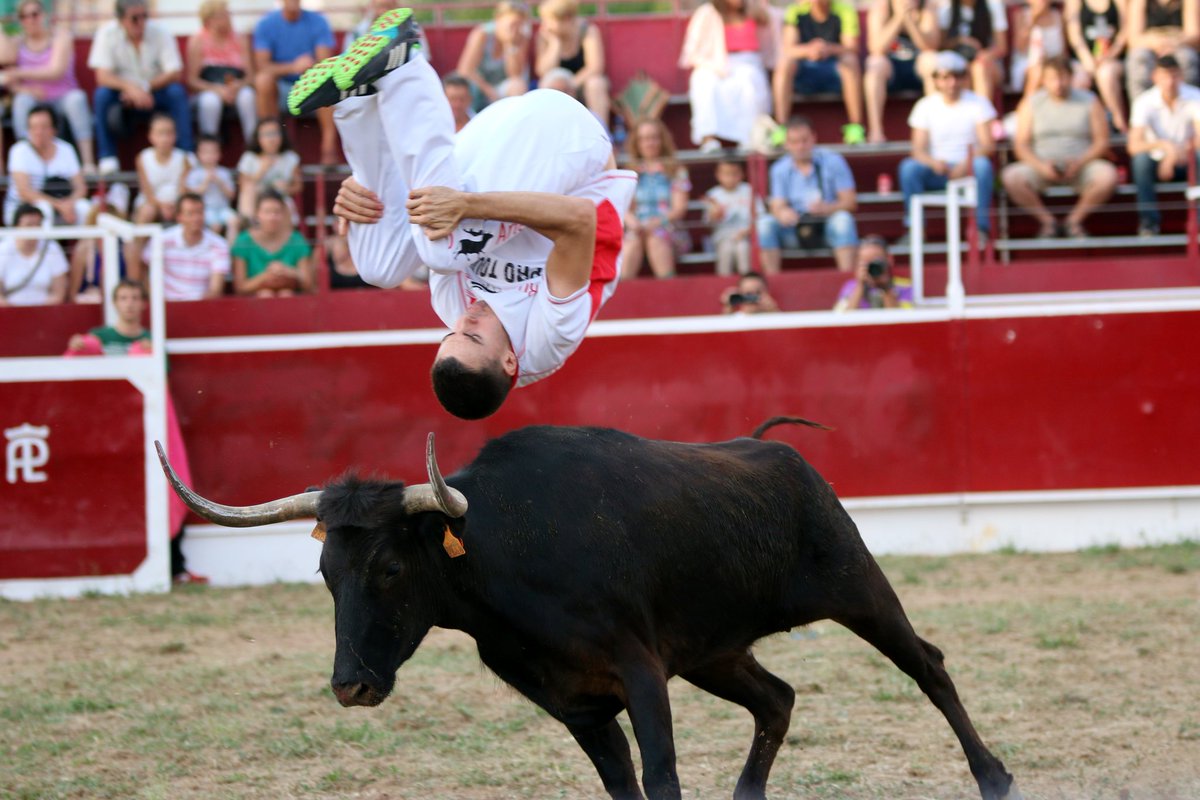 Dsd tierras Alcarreñas llega Sergio Recuero al Concurso de Recortadores d Tudela.
#Tudela #recortadores#RuedoArte