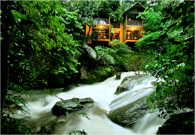 Veena_World's tweet photo. #VythiriResort #Kerala, housing 5 Tree Houses set high above the lush canopy of the rainforest. #VeenaWorld https://t.co/X4e4dfXySn