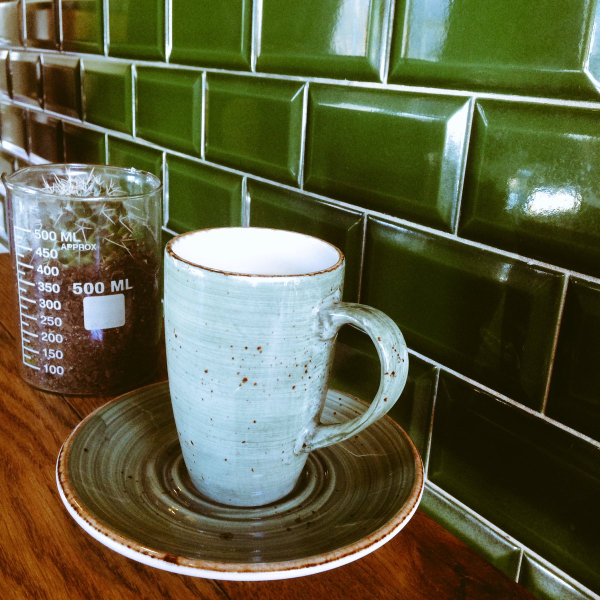 Nkgabi_Motau's tweet photo. Really dope #coffice in Parkhurst. Wifi, protein Flap Jacks, the works.  #GroveGreenCafe @grovegreencafe https://t.co/Z7qIGswkke