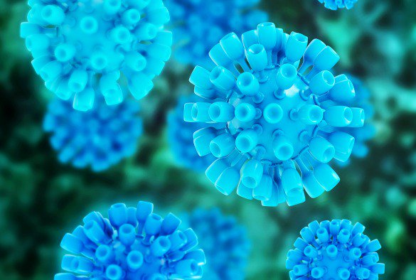 livuninews's tweet photo. World Health Organisation strongly recommends University website + App #WorldHepatitisDay https://t.co/KUhfkJjhv6 https://t.co/9k9OlbcgPo