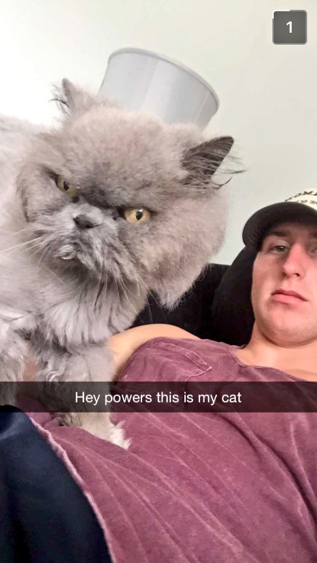999thebuzz's tweet photo. Sweet cat fez! 🤘📻 #hatjoke #cupjoke #meowser #yourmorningbuzz https://t.co/6WuYMj6v6R
