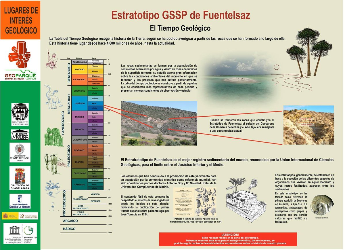 geoparkea's tweet photo. The famous golden spike will be settled today by @theIUGS in the #Fuentelsaz stratotype. Congrats! #geology #science https://t.co/bXCOhIDNqi
