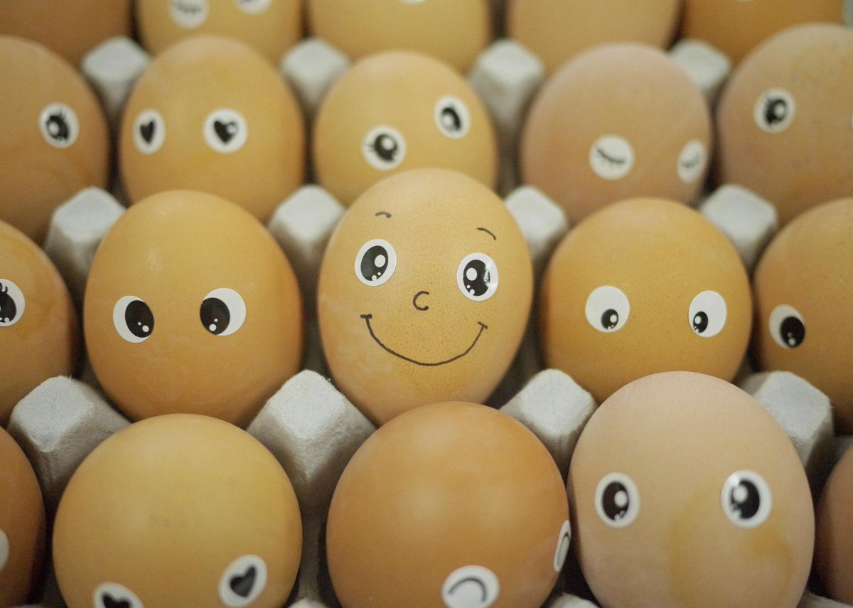 linasusan2's tweet photo. Raw Eggs Are Safe For Your Unborn Baby https://t.co/OxnlsNGOV3 https://t.co/6E8dGw1GJf