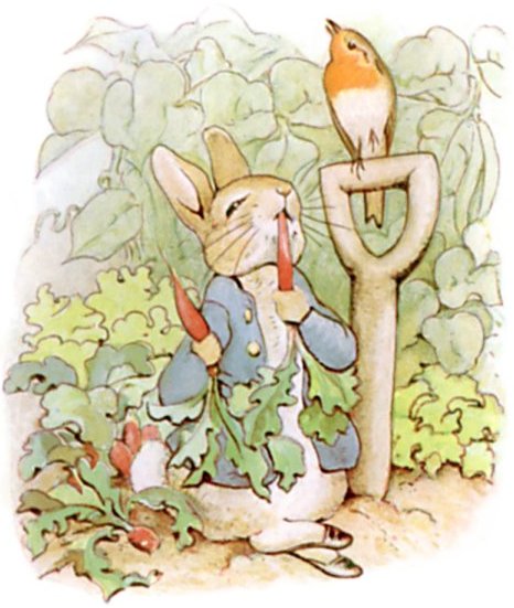 TEGmagazine's tweet photo. Happy 150th birthday #BeatrixPotter 
#PeterRabbit taught us the joy of foraging
#Beatrix150 https://t.co/qGYD8RBVWC