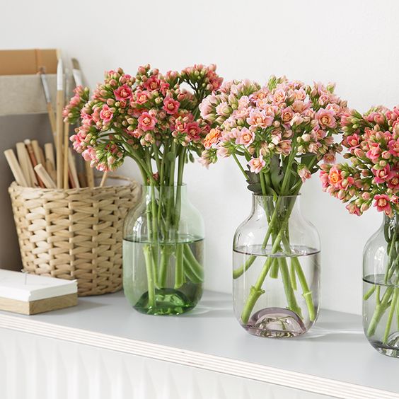 B&G de Mooij on Twitter 