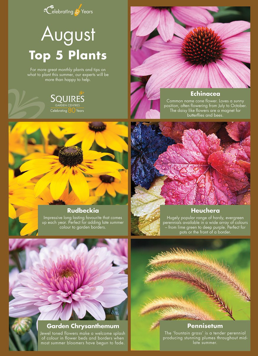Top5plants Hashtag On Twitter