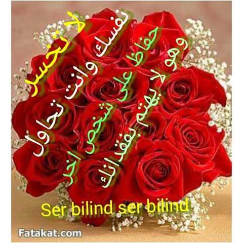 9Bmme's tweet photo. https://t.co/hJi1XP3nKH