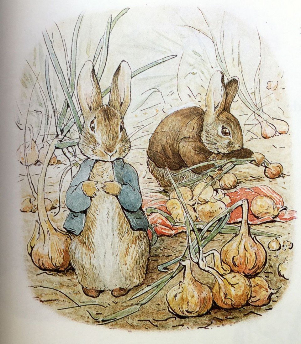 Buon compleanno Beatrix Potter! #Beatrix150 @ScaffaleBasso scaffalebasso.it/beatrix-potter/