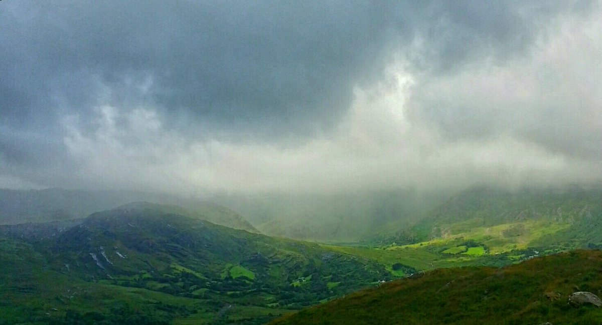 Glengarriff Woods NR tweet media