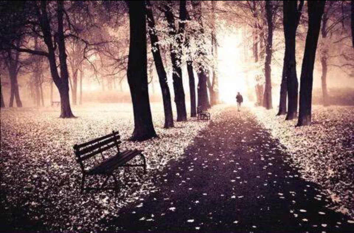 لا نستطيع أن نرى من نحب كل وقت و متى أردنا..  ولكننا نستطيع أن نتوآصل بعمق ،، بدعوة صادقة تذيب المسافات