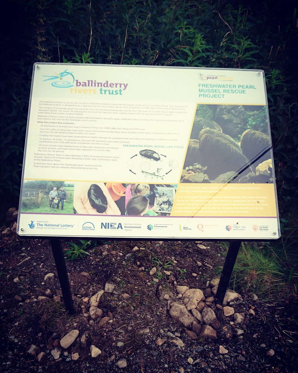 BallinderryNews's tweet photo. Have you spotted our new signs out and about?  Lots of information on our Freshwater Pearl Mussel Rescue Project https://t.co/VFaStzxhN2