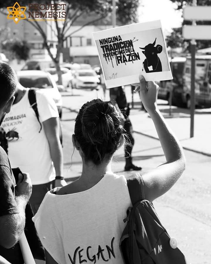 _projectnemesis's tweet photo. Manifestación de antitaurinos en la Linea de la Concepción, por una causa, por una vida.
#projectnemesis2016 https://t.co/y3gk6EkFYc