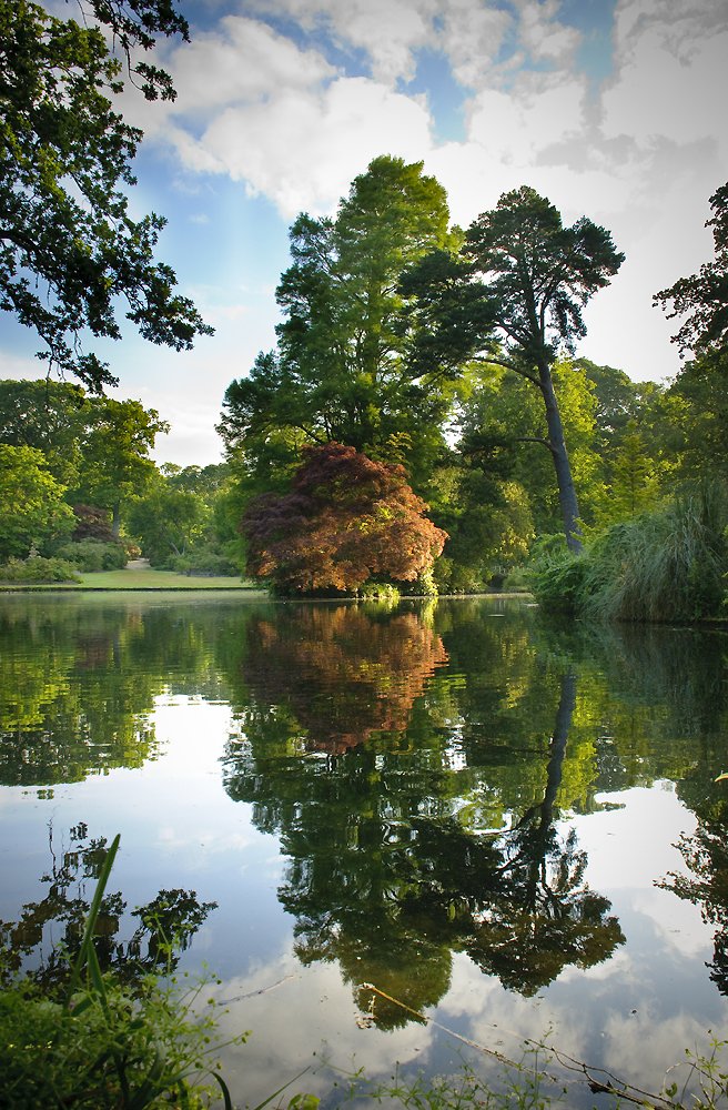 Tranquility reigns #ThursdayThoughts #newforest #yearoftheenglishgarden #gardensforhealth