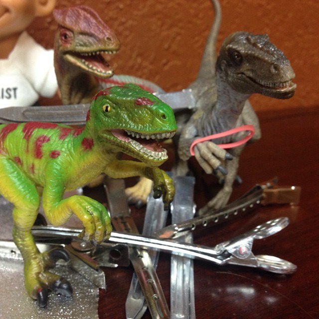Dino rampage at the hair salon!