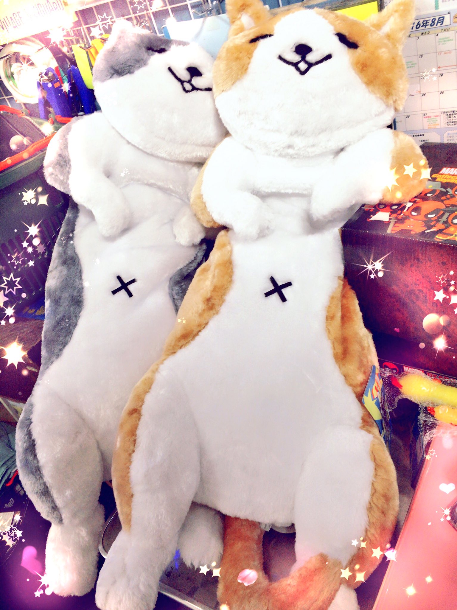 ヴィレッジヴァンガードss ベルモール宇都宮 にゃにゃにゃにゃんと ๑ ㅁ ๑ 前回大人気ですぐに完売してしまったにゃん太 添い寝ぬいぐるみが入荷致しました ฅ W ฅ ふわふわもちもちのにゃん太 一家に１匹いかがですか こんなに大きいのになんと