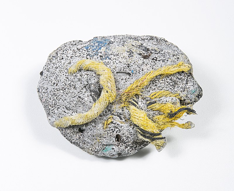 The SCIN Gallery tweet media