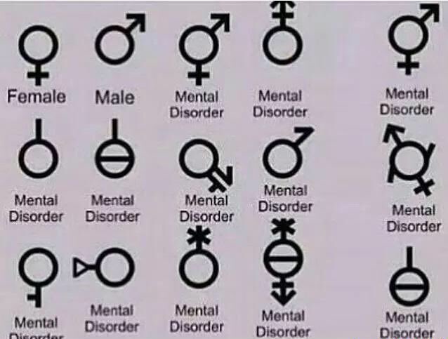 All The Genders Chart