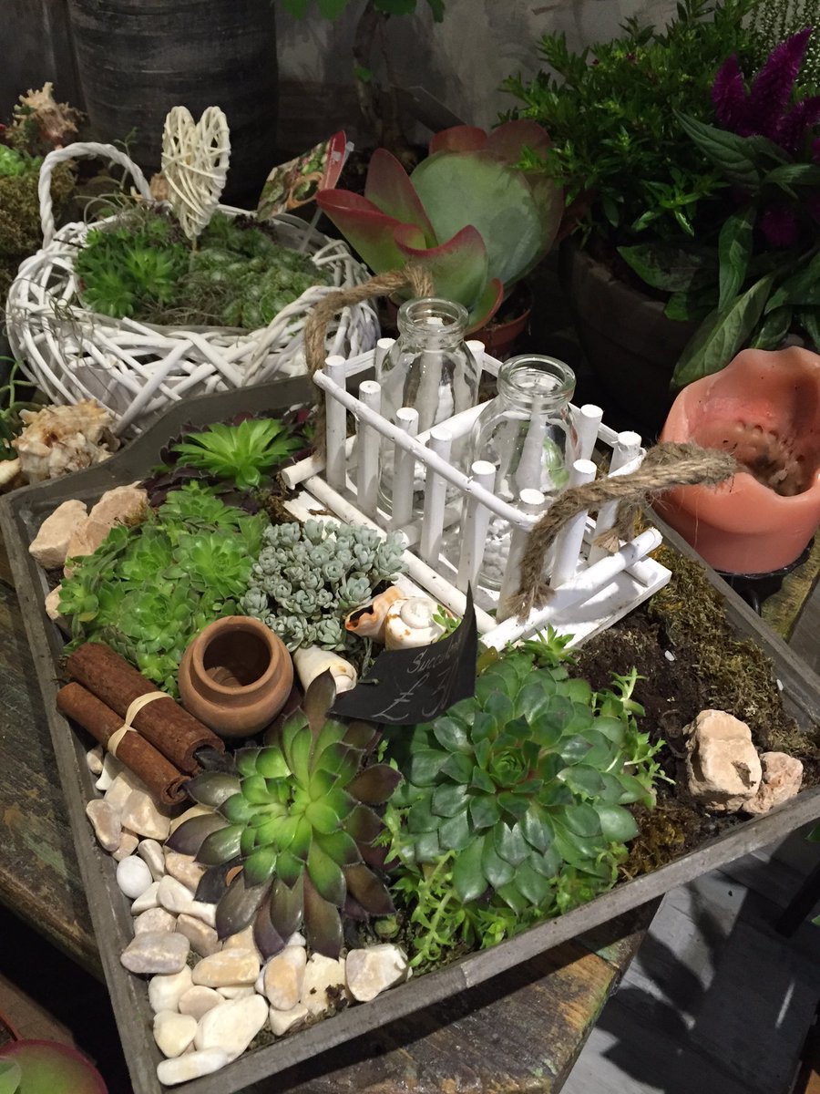 artsynibs's tweet photo. Guess where I stopped by today!  @GeminiFloristry #ManchesterHour #thepresstent https://t.co/u92W1HNvbM