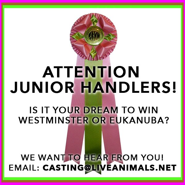 Live Animals Casting (@LA_Casting) / Posts / X