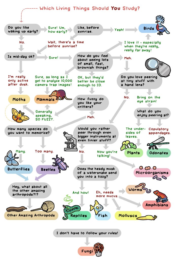 USFWS_PSW's tweet image. Which species is right for you? Check out this fun guide from Bird and Moon Comics! birdandmoon.com/comic/study-sp…