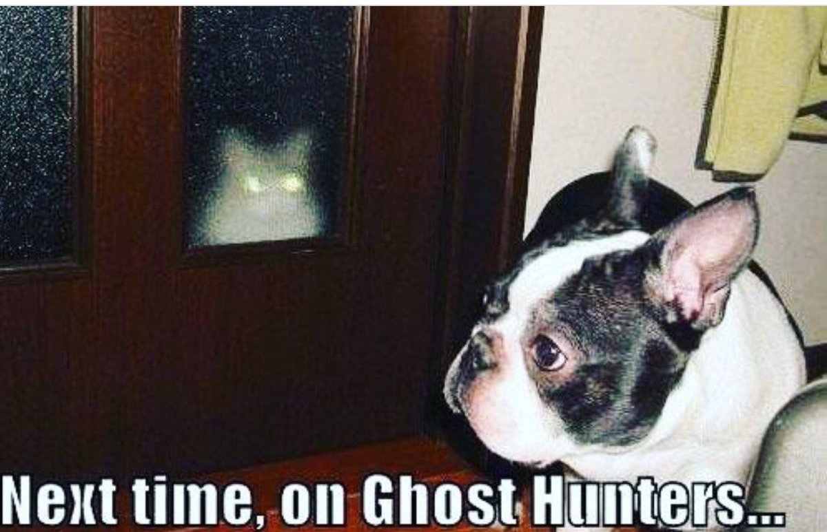 OffBeatenPath1's tweet image. It most be a #demon lol #paranormal