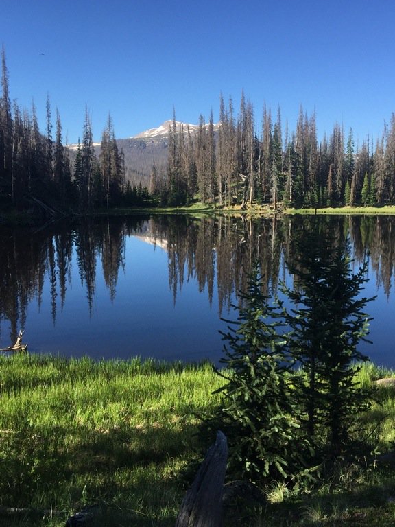 jacqueline_hehe's tweet photo. #colorado # forest #hdpicture #beautiful #nature #travel #TsuFriends #TsuWorld... https://t.co/CQYkNG2ln6 https://t.co/M1bbRI4t8d