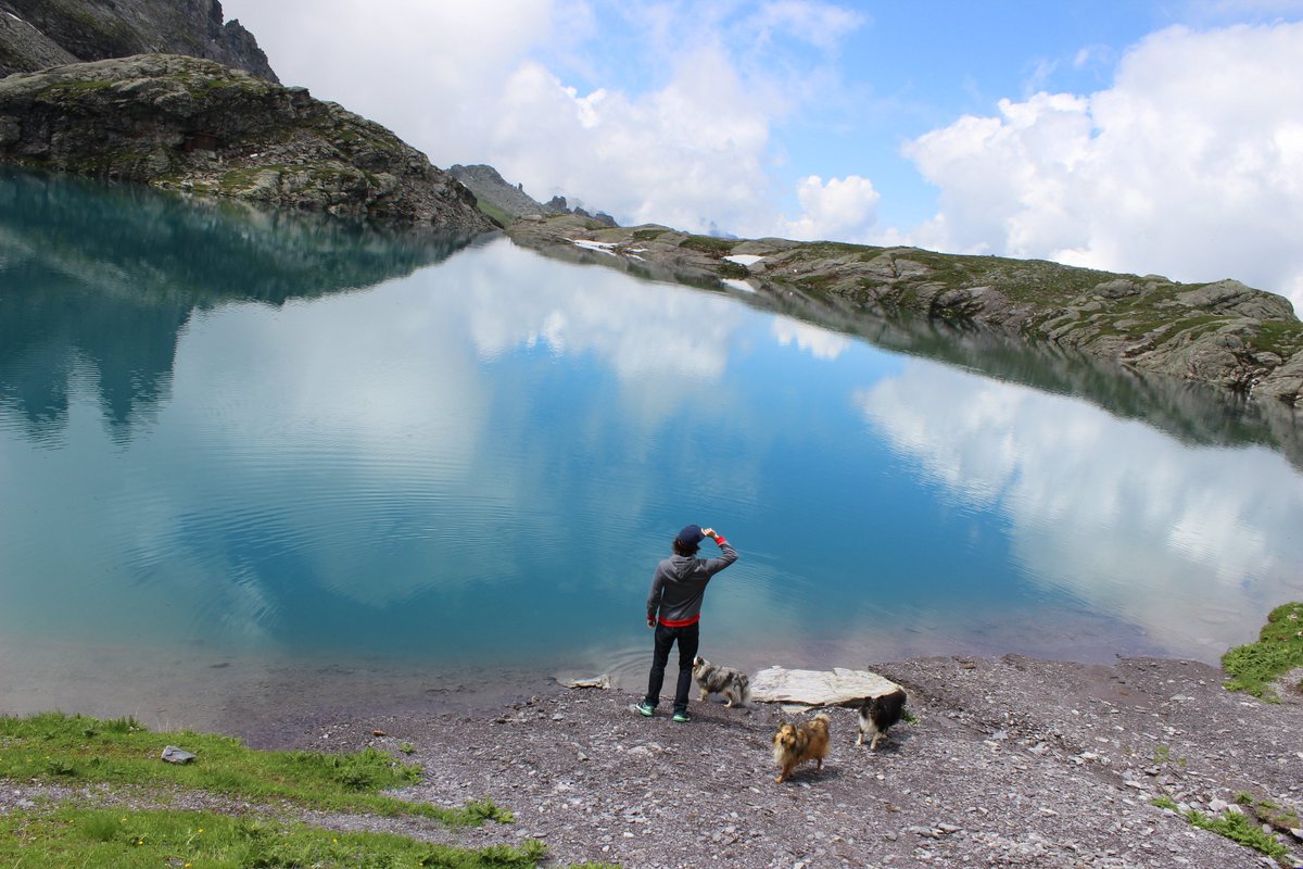 Spamsel ✪ tweet media