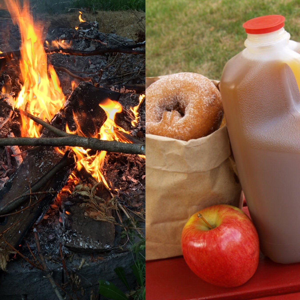 HandyPro's tweet photo. Fall will be here before we know it. What are you looking forward to more, bonfires or apple cider and donuts? https://t.co/XiZCS37H4z