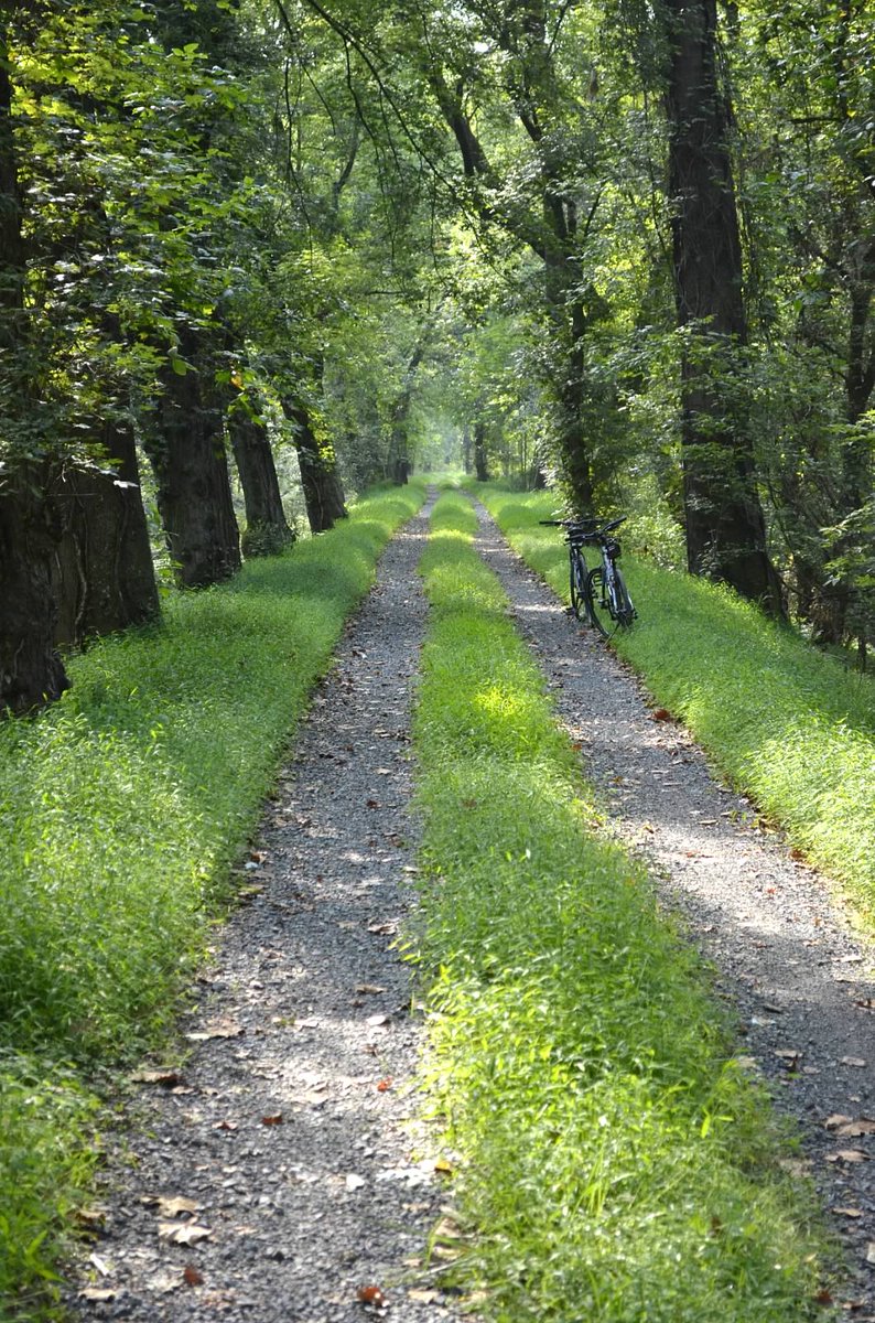 RiverRide100's tweet photo. Only a few days until the beginning of August! Hurry up and register to ride now! https://t.co/r7klVKXv57 https://t.co/9ZHlQdPe0S