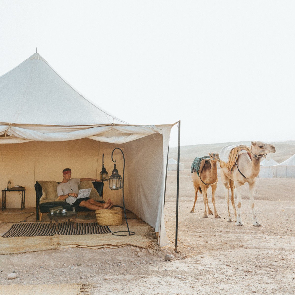 jackmorriis's tweet photo. Another day in the office 🐪 https://t.co/Sm8K5faQla