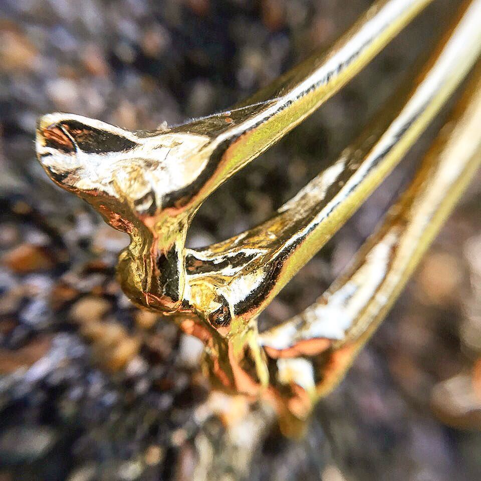 gogojewelryinc's tweet photo. What is it? #gogojewelry #wearableart #naturetransformed #cumberlandisland #instagood #instajewelry https://t.co/jwUQv3lGvo