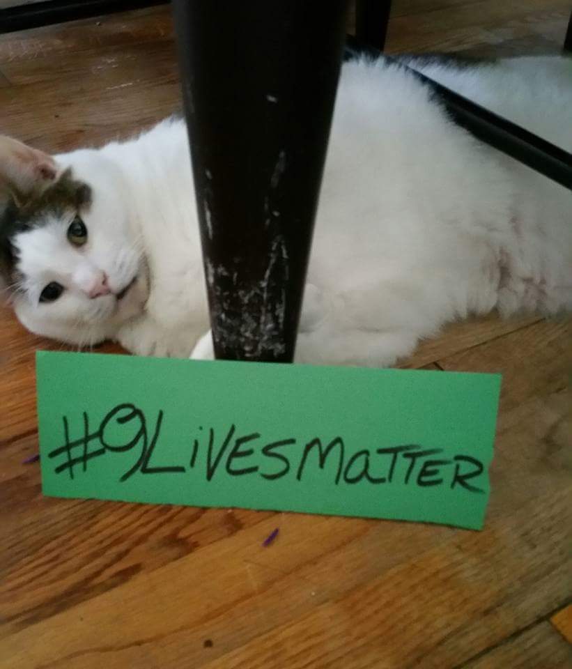 gotghost4us's tweet image. 