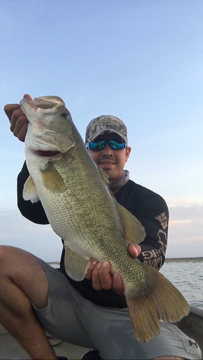 js_150's tweet photo. Falcon Lake fishing. Best 5 weighed  30lbs. https://t.co/g7yE6SSvju