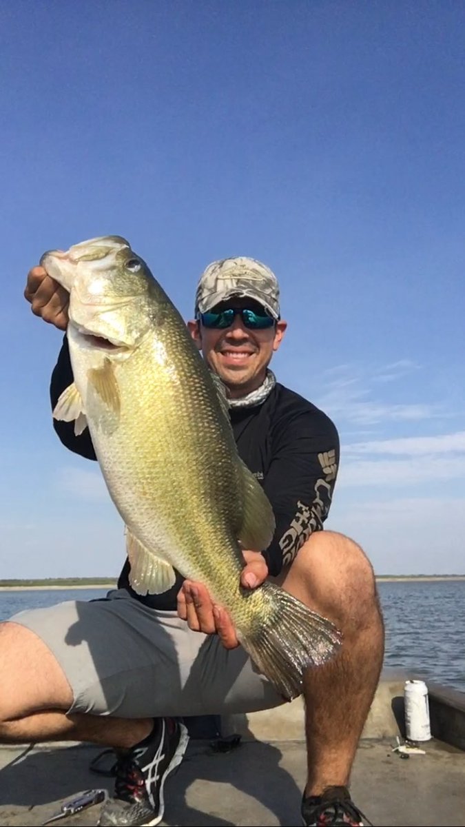 js_150's tweet photo. Falcon Lake fishing. Best 5 weighed  30lbs. https://t.co/g7yE6SSvju