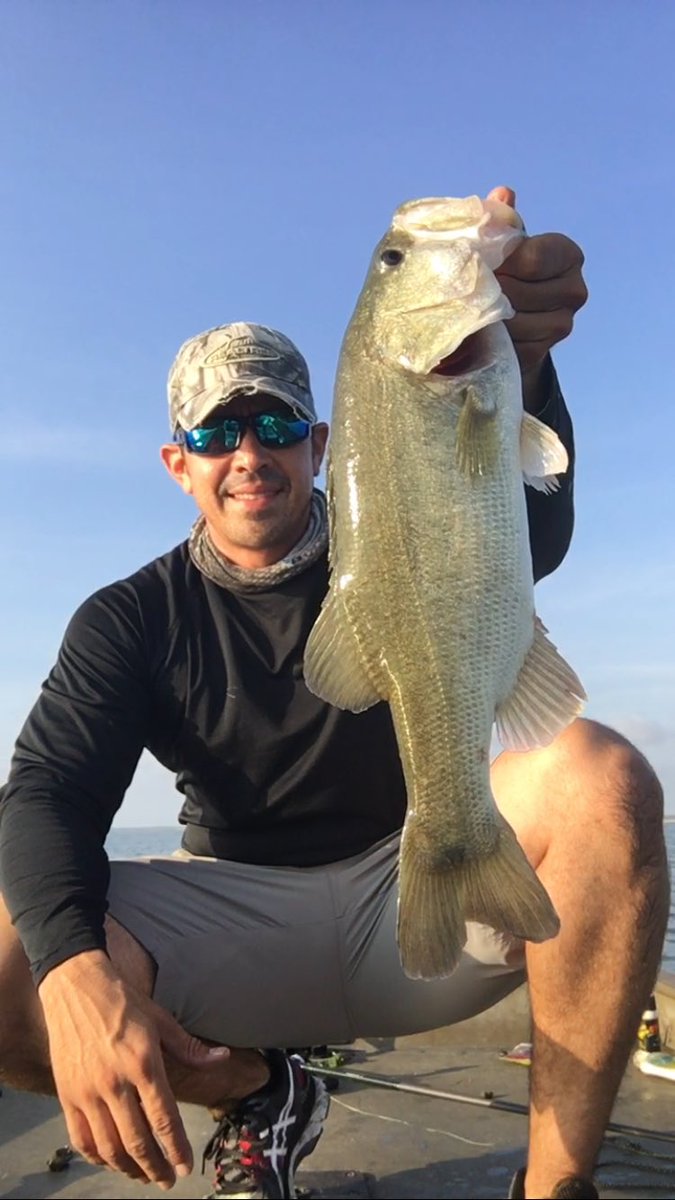 js_150's tweet photo. Falcon Lake fishing. Best 5 weighed  30lbs. https://t.co/g7yE6SSvju
