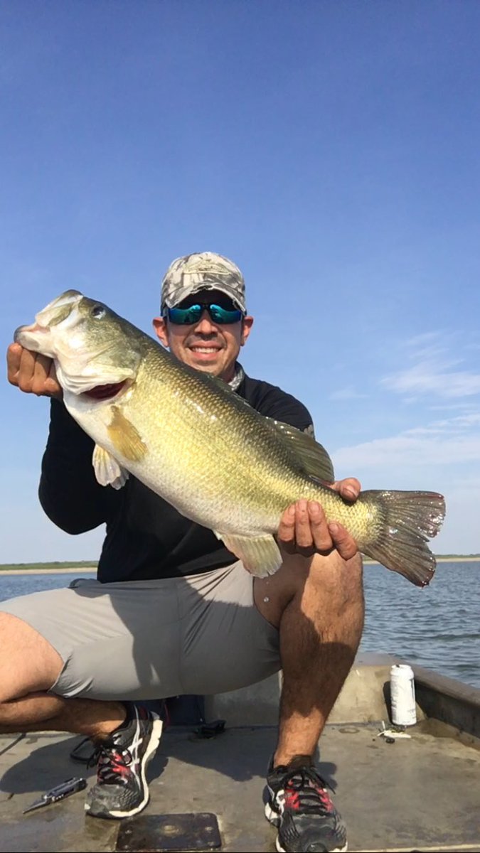 js_150's tweet photo. Falcon Lake fishing. Best 5 weighed  30lbs. https://t.co/g7yE6SSvju
