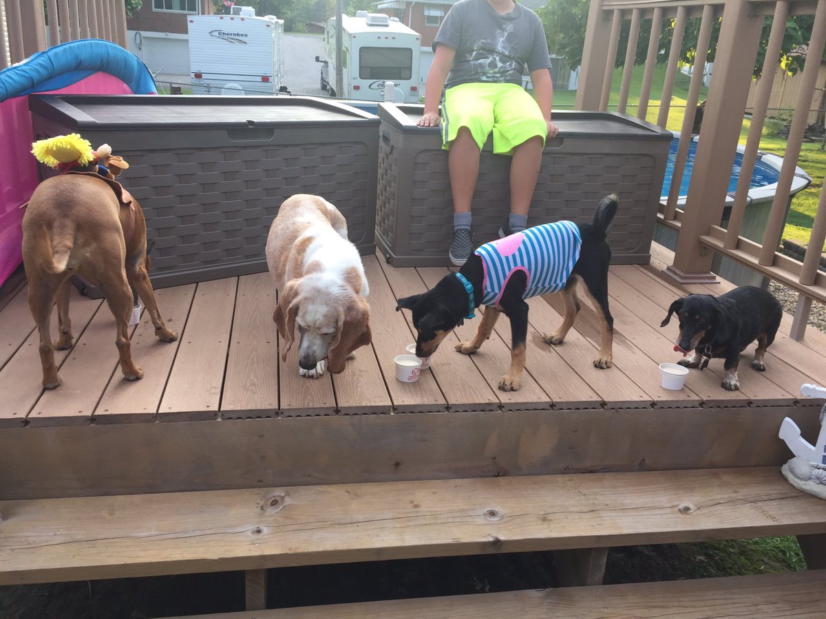 waggly89's tweet photo. Franklin's 13th birthday party! https://t.co/d0DeUHpElb