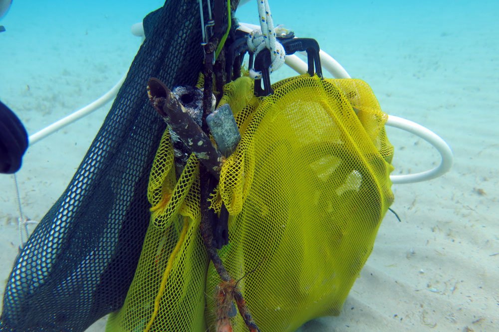 rottamareblu's tweet photo. #ioloraccolgo sott'acqua, domani a #Camogli pulizia fondali marini con #BBDiving GuardiaCostiera GuardiaFinanza https://t.co/uELNz1xUJ6